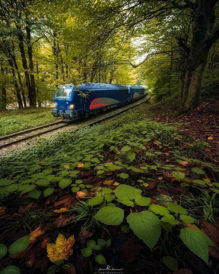 Beautiful Nature image