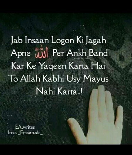 Indeed🌷🌼