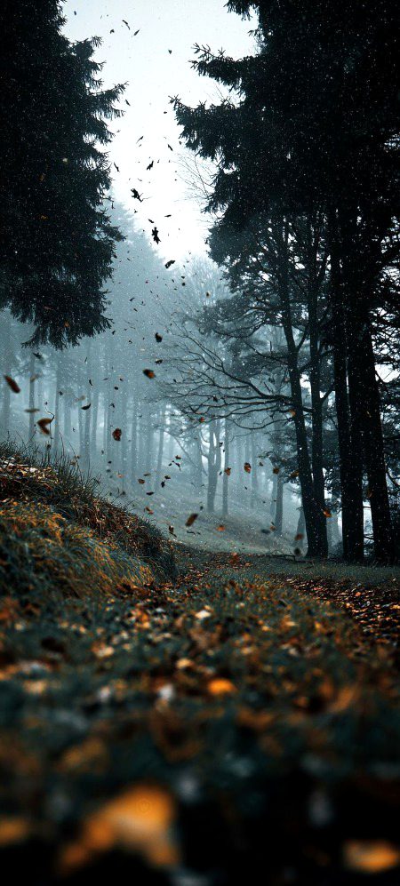 Beautiful Nature image