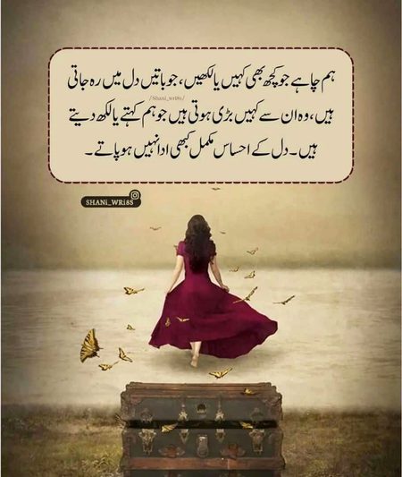 lines. . .👍😶