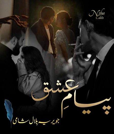 Romantic Novels image