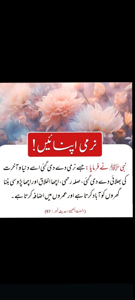 Islamic Quotes image