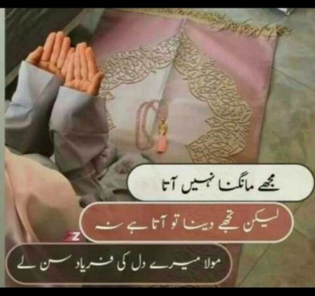 Islamic Quotes image