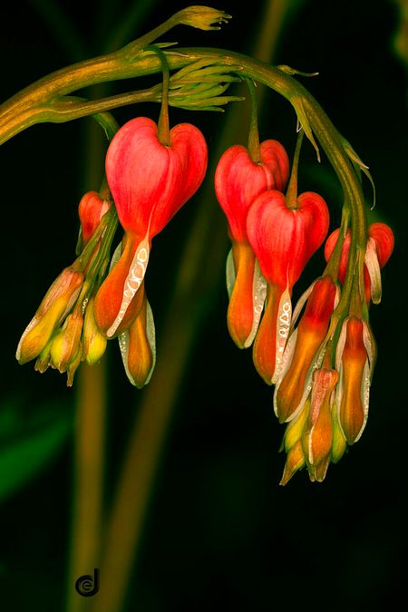 Beautiful Nature image