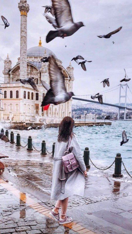 Beautiful Structures image