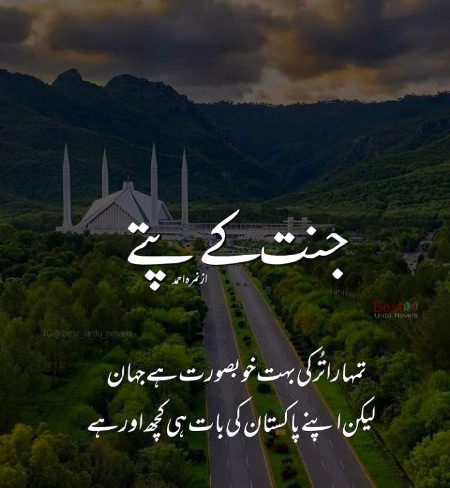 Pakistan ❤
