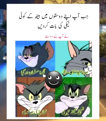 Memes & Satire image