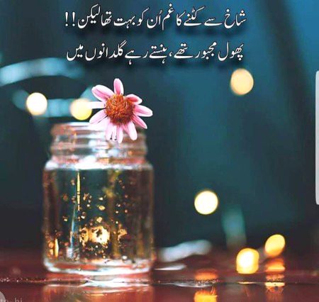 تاروں کی بہاروں میں بھی قمر تم افسردہ سے رہتے ہو۔۔۔
پھولوں کو تو دیکھو کانٹوں میں بھی ہنس کر گزارہ کرتے ہیں۔۔۔