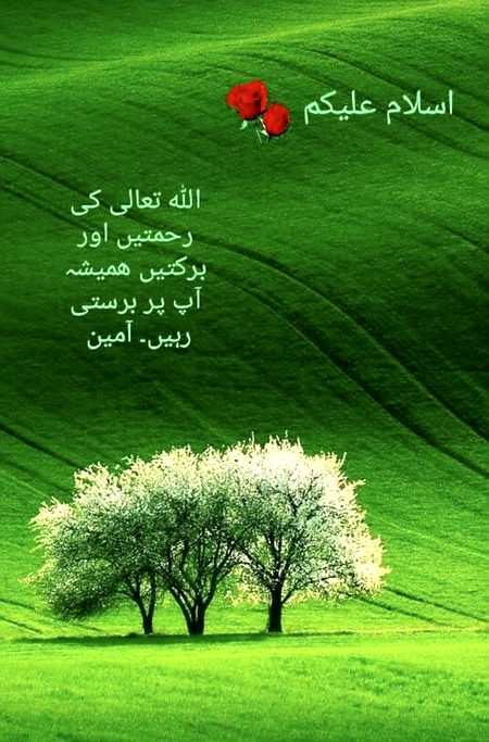 Islamic Quotes image