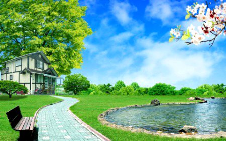 Beautiful Nature image