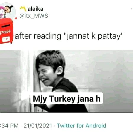 Memes & Satire image