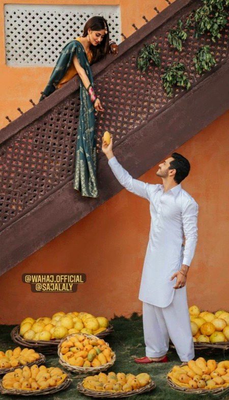 Pakistani Celebs image