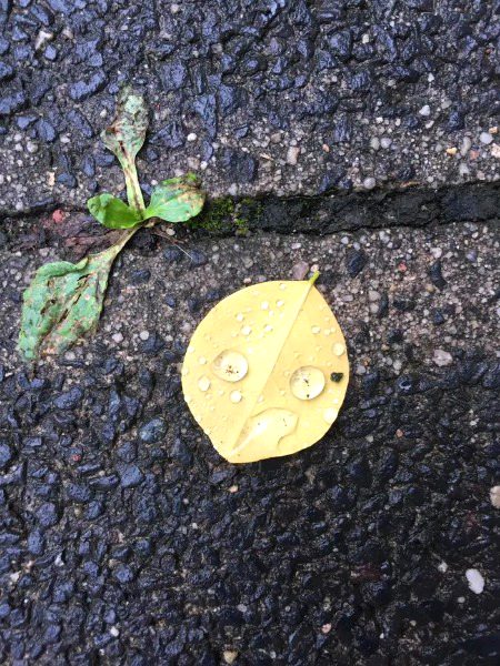 Beautiful Nature image