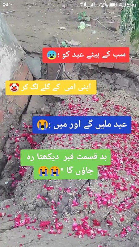 I miss u ami jan
😭😭😭