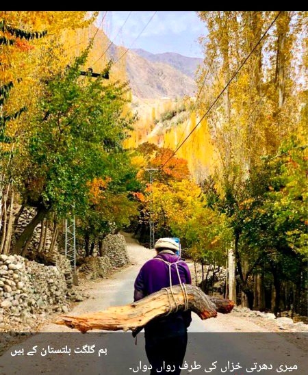 Beautiful Nature image