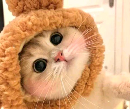 Beautiful Nature image