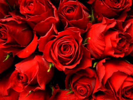 Beautiful Nature image