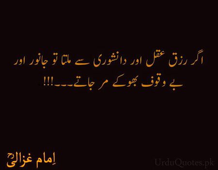 🍁Zoq_Shab🍁
