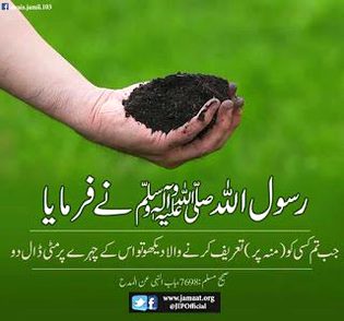 Islamic Quotes image