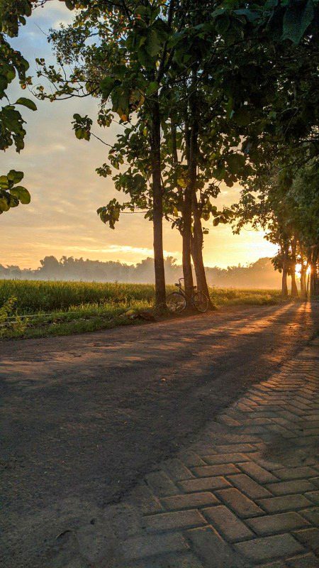 Beautiful Nature image