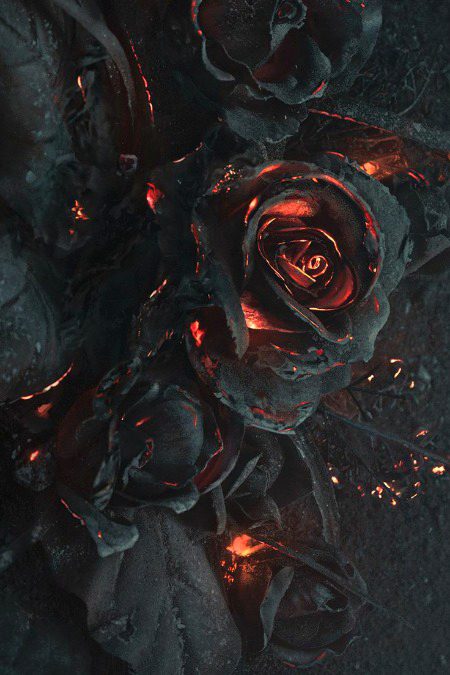 Beautiful Nature image