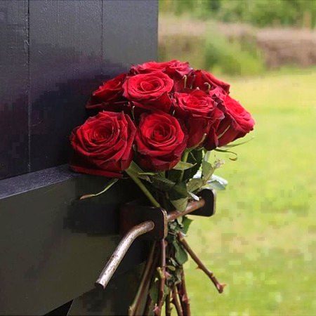 Beautiful Nature image