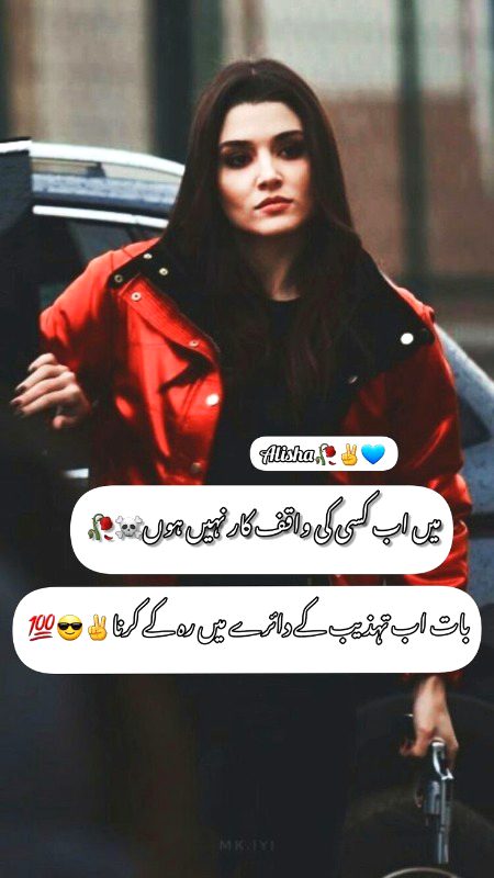 Attitude Quotes image