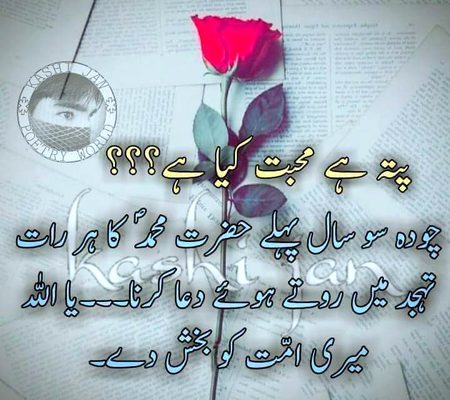 Shi bat hai 😍😍