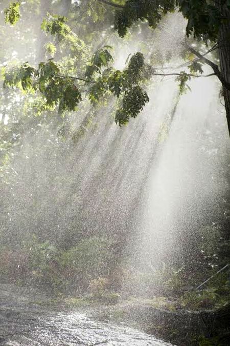 Beautiful Nature image