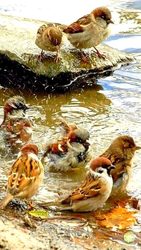 Beautiful Nature image