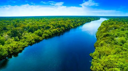 Beautiful Nature image