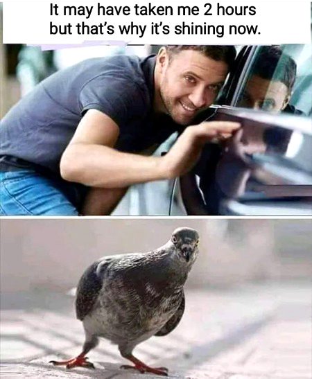 Memes & Satire image