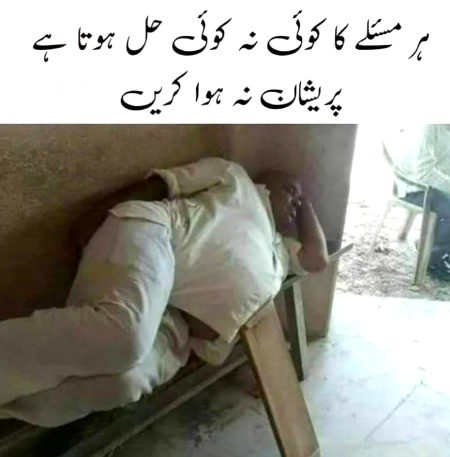 Memes & Satire image