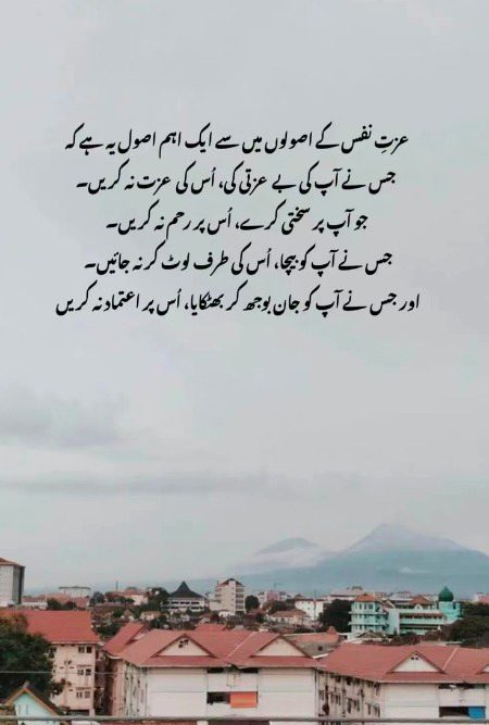 🌹 merijan-16 🌹