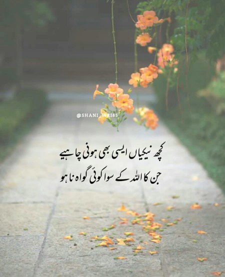 Islamic Quotes image