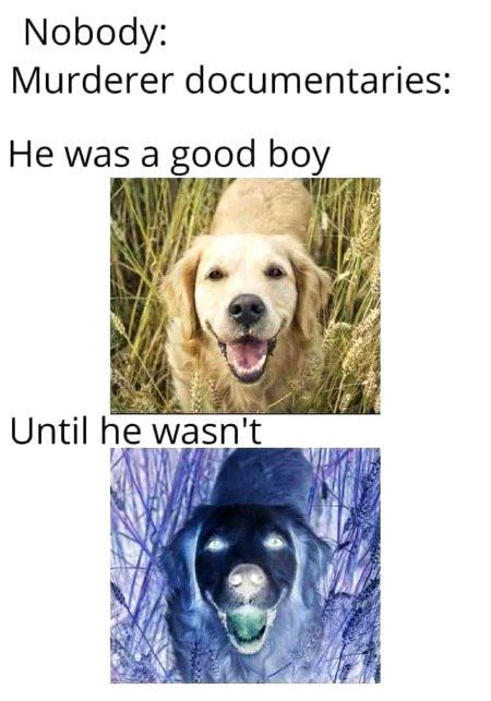 Memes & Satire image