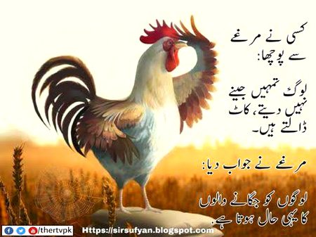 🍁Zoq_Shab🍁