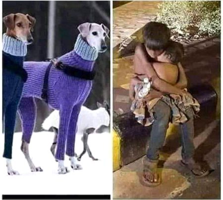 قیامت خود بتائے گی😢
قیامت کیوں ضروری تھی😢