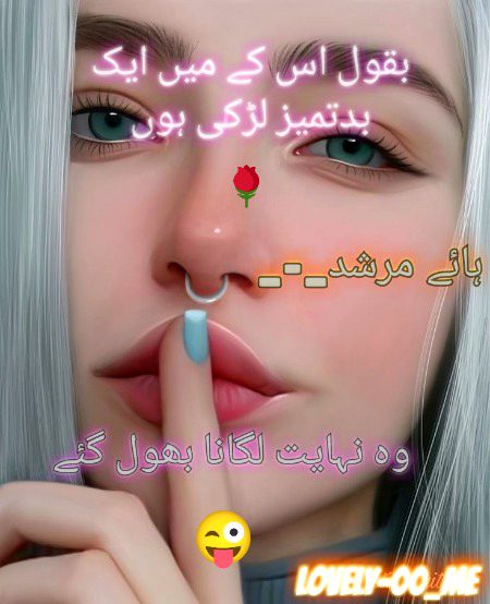 مجھ میں ہزار خامیاں ہیں! معاف کیجیۓ
آ پ بھی تو کبھی اپنا آ ئینہ صاف کیجیئے