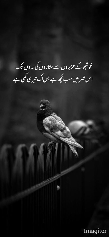 Blkl mri jan S apki