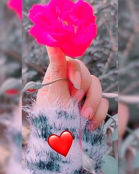 𝖍𝖆𝖕𝖕𝖞 𝖗𝖔𝖘𝖊 𝖉𝖆𝖞🌹🌹🌹