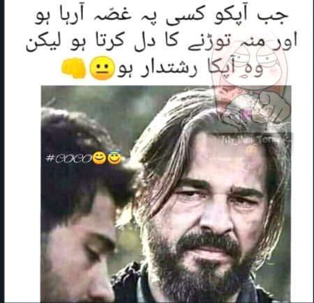 Memes & Satire image