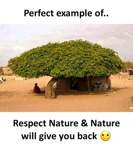 Motivational Quotes image
