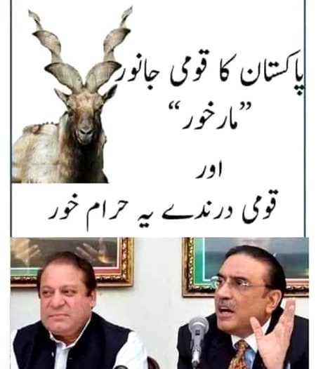 Memes & Satire image