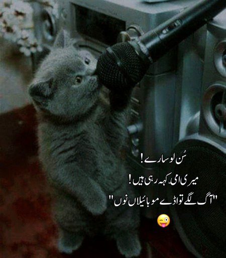 No option