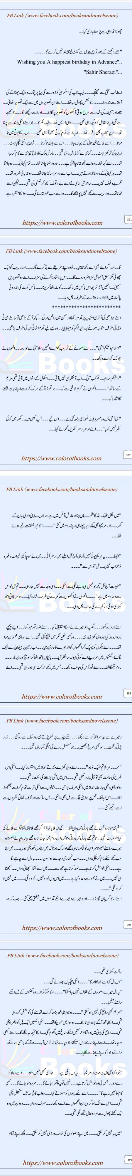 Romantic Novels image