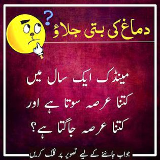 Riddles & Puzzles image