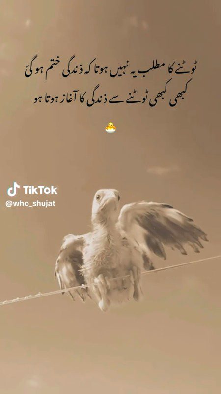 Khud KO itna badly gay k log tarsay gay hamain pehkay jesa paanay k lite🤞