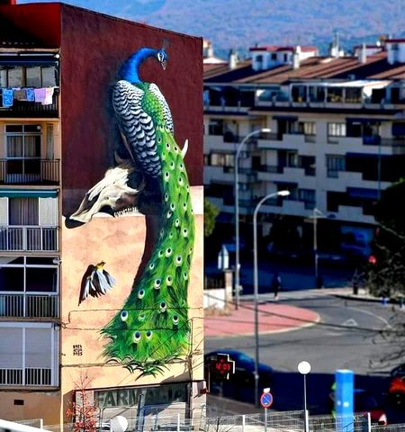 Street Art image