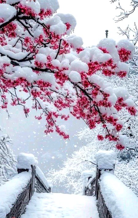 *لوٹ آو کے ابھی بھی کچھ نہی بگڑا ❤️🩹🥹*
*ابھی بھی دسمبر کی ایک رات باقی ہے 💔🥹